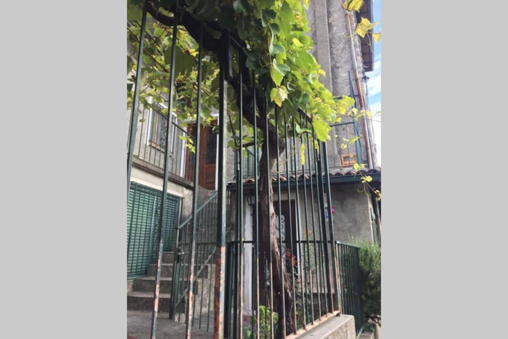 Nel Set Di Piccolo Mondo Antico Villa Viola Valsolda Екстер'єр фото